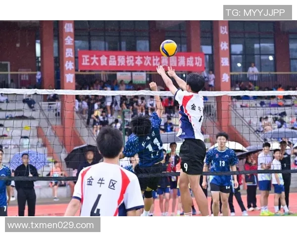 成都排球队的节奏与魅力探秘：排球运动在城市中的发展与影响