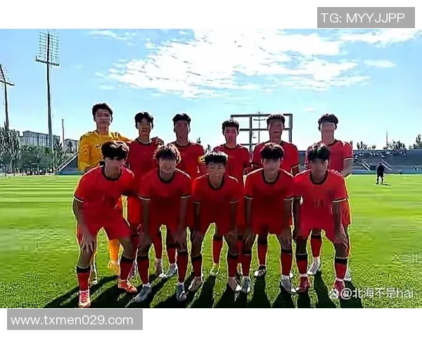 杨晨聊足球：从球场传奇到青训发展，探讨中国足球的未来与挑战